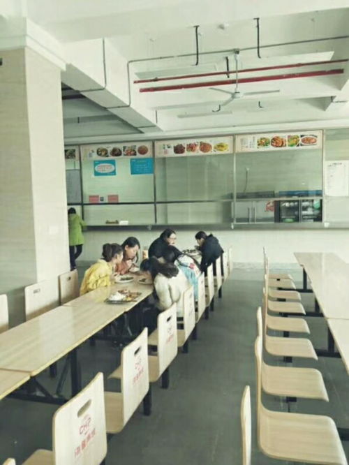 包食宿招移动客服 信息技术咨询服务，打造专业团队共促发展