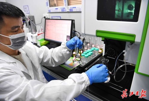 武汉中小企业借脑高校，以专精特新劲头角逐信息技术赛道