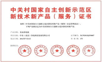 信息技术咨询服务的价值与选择指南